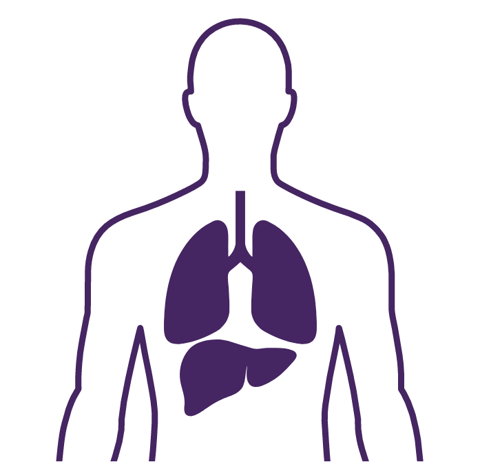 Illustration of a human body highlighting the lungs and liver