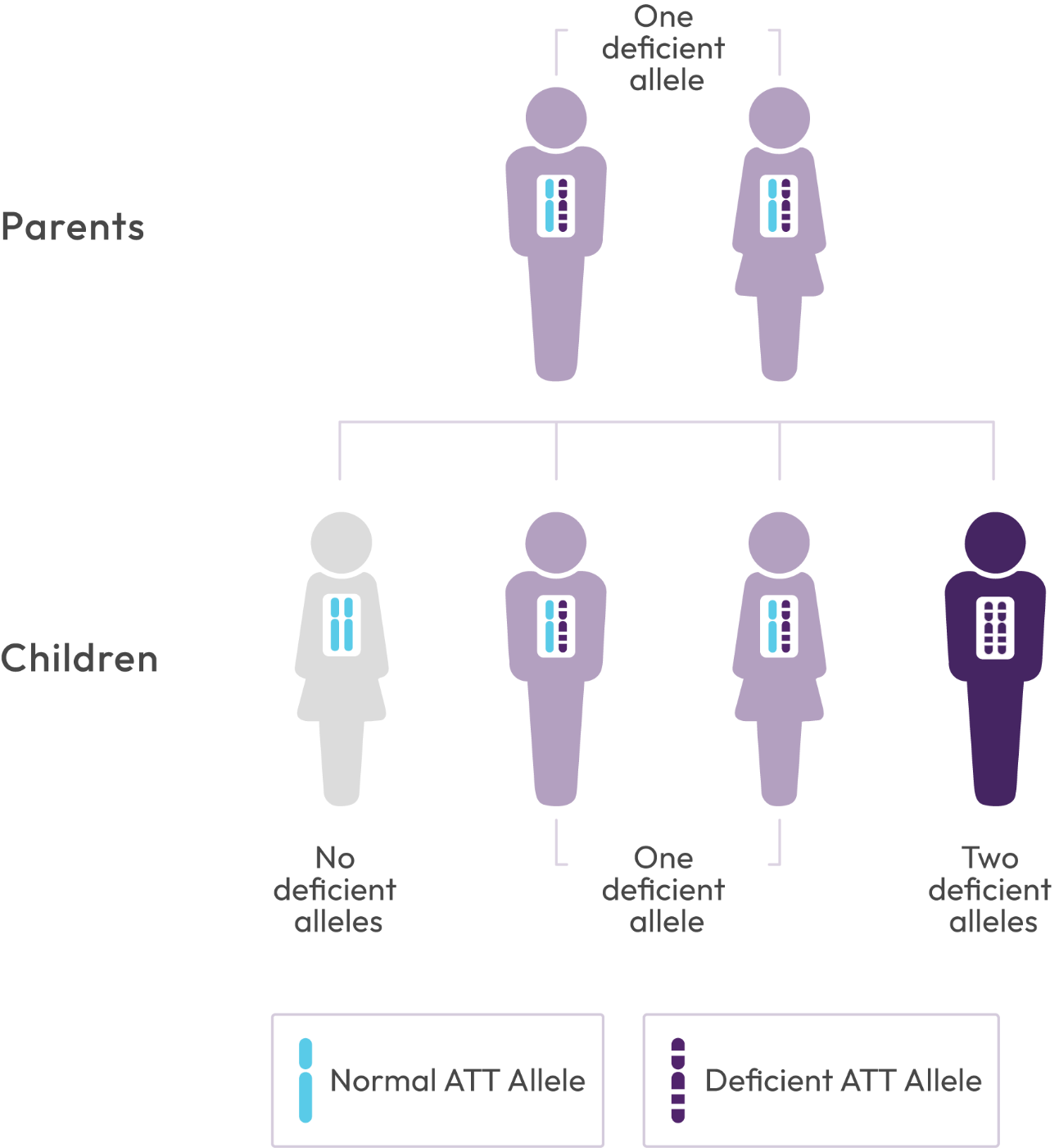 Family inheritance diagram. Two parents each carry one deficient AAT allele. Their children may inherit no deficient alleles, one deficient allele, or two deficient alleles. A key distinguishes a normal AAT allele from a deficient AAT allele.